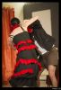 474Du_rififi_chez_les_grenouilles__Christophe_G__.jpg