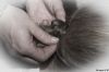 Making_off_Christophe_G__82.jpg